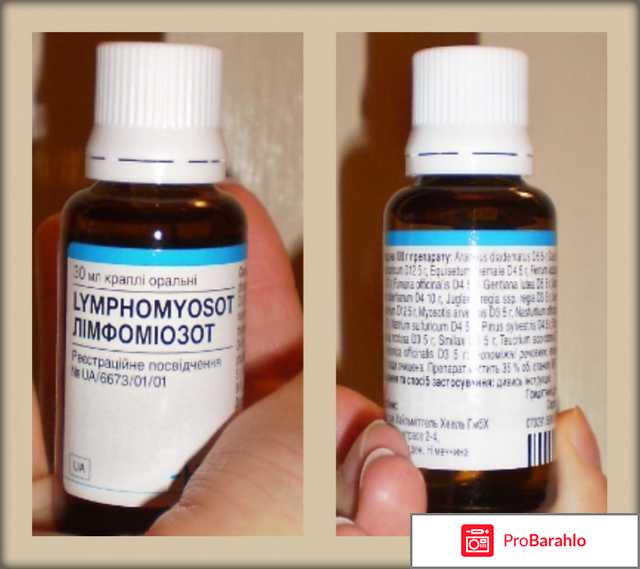 Гомеопатическое средство Лимфомиозот отрицательные отзывы