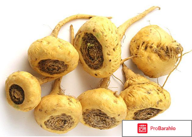 Экстракт перуанской маки и женьшеня 