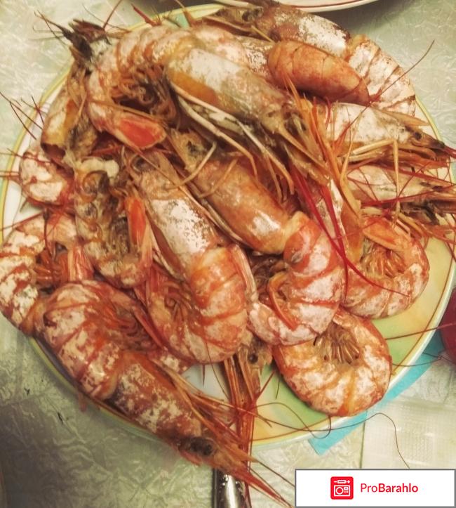 Креветки PESCAPUERTA Langostino Austral отрицательные отзывы