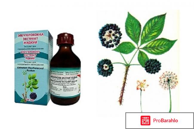 Элеутерококка отрицательные отзывы
