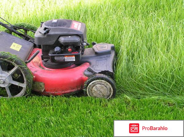 Стрижка и удобрение газонов обман