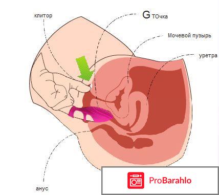 Maestro Love - стимулятор точки G отзывы владельцев