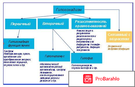 Повышен фсг 
