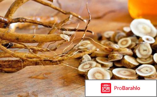 Девясил лечебные свойства и противопоказания отрицательные отзывы