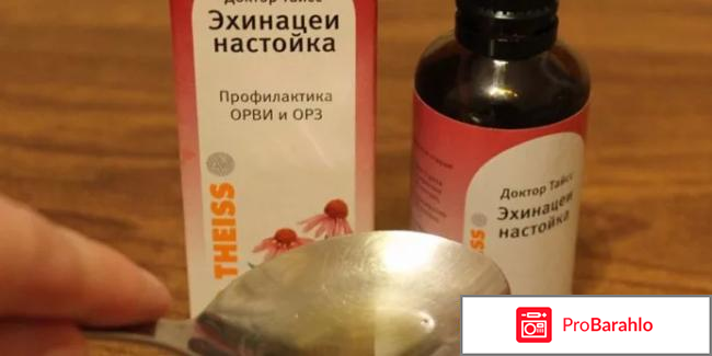 Настойка эхинацеи для иммунитета отзывы обман