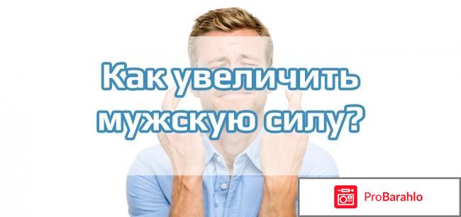 Сементал форум 