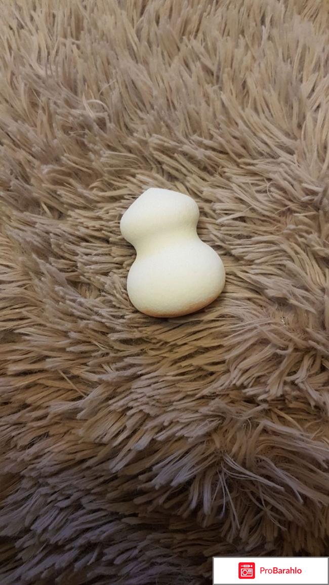 Жидкая тональная основа со спонжем the lightbulb foundation/sponge set обман