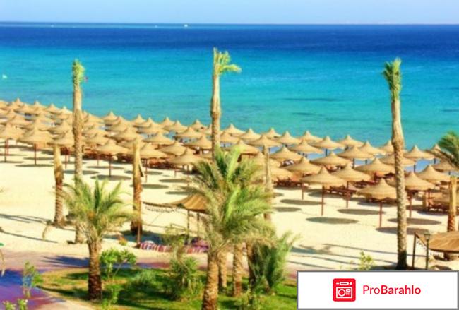 Дессоле пирамиса хургада обман