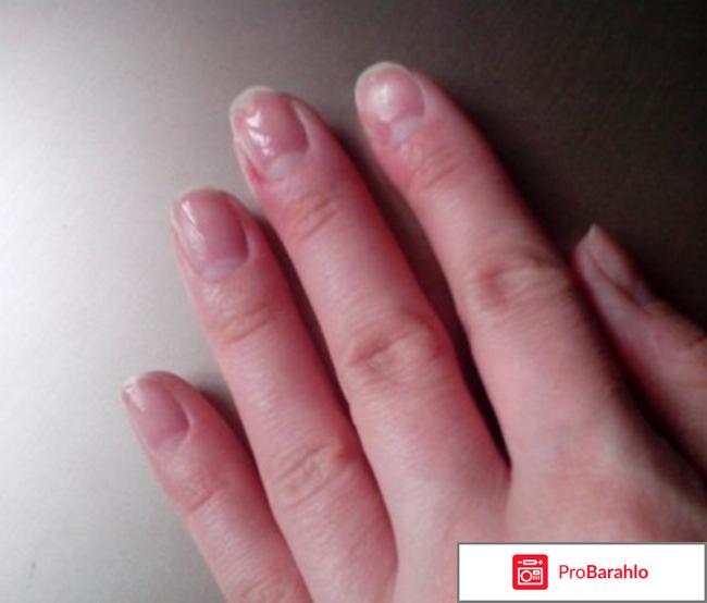 Клавио отзывы обман