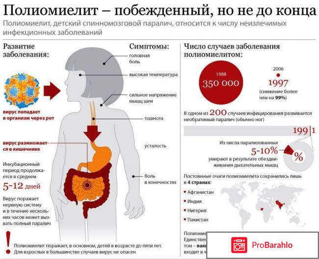 Сертификат о прививках где получить отрицательные отзывы