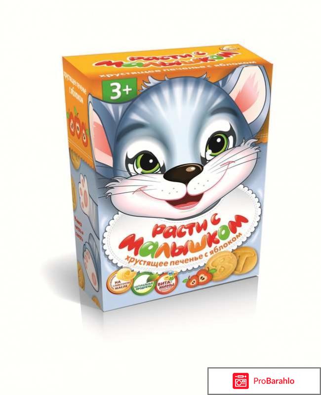 Кондитерская фабрика славянка фото