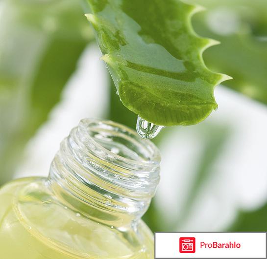 Экстракт алоэ по филатову 