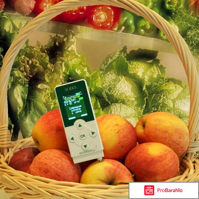 Нитраты и нитриты в овощах отзывы владельцев