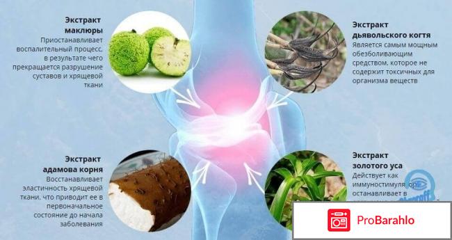 Пантогор гель для суставов состав цена отрицательные отзывы