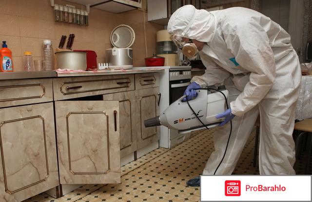 Уничтожение клопов отрицательные отзывы