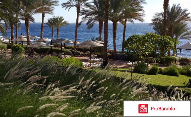 Отель GRAND ROTANA RESORT & SPA отрицательные отзывы