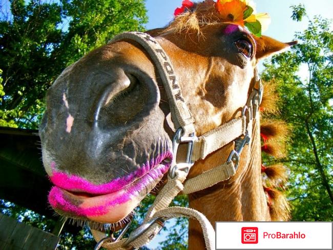 Возбудитель конский 