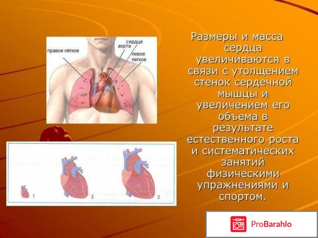 Увеличение сердца: причины, симптомы, лечение реальные отзывы