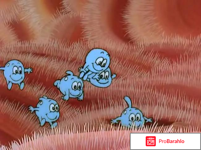 Жила-была жизнь обман