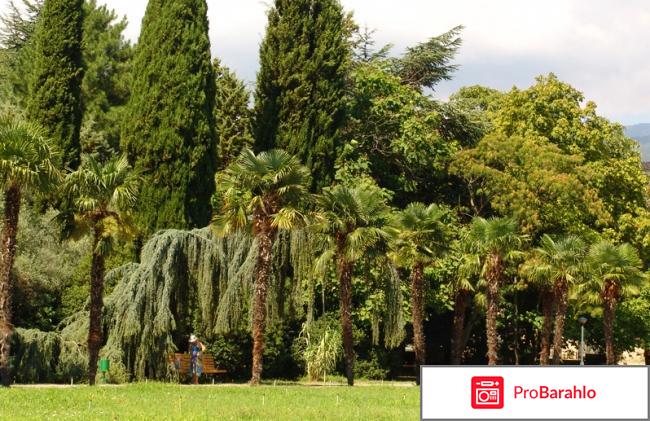 Крым партенит санаторий крым 