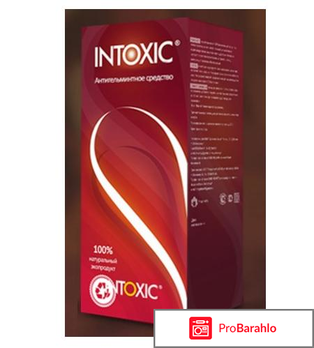 Интоксик цена 