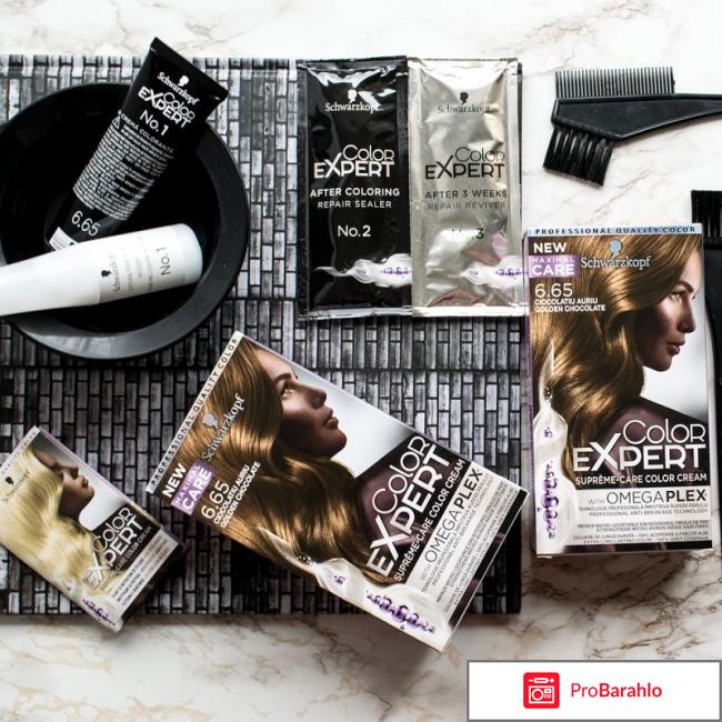 Колор эксперт краска для волос отзывы отрицательные отзывы