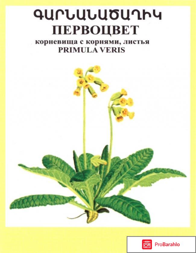 Общеукрепляющие препараты 