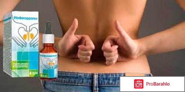 Нефроделин средство для почек: цена, отзывы, купить 