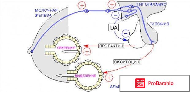 Повышен пролактин лечение 