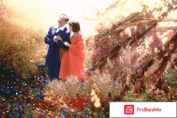 Куда приводят мечты отзывы о фильме реальные отзывы