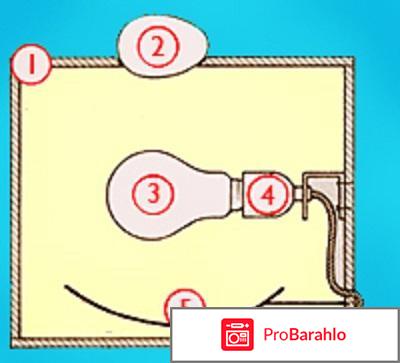 Овоскопы отрицательные отзывы