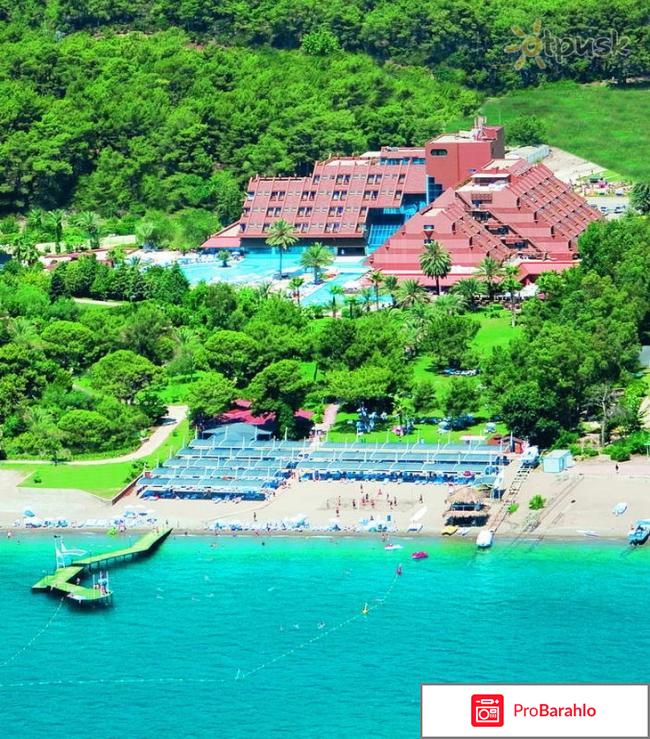 Queen park goynuk 5 отрицательные отзывы