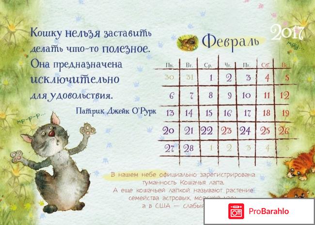 Книга  Настольный календарь 2017. 365 дней с котом обман