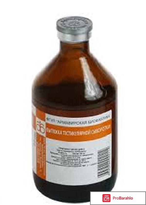 Конский возбудитель для женщин отзывы обман