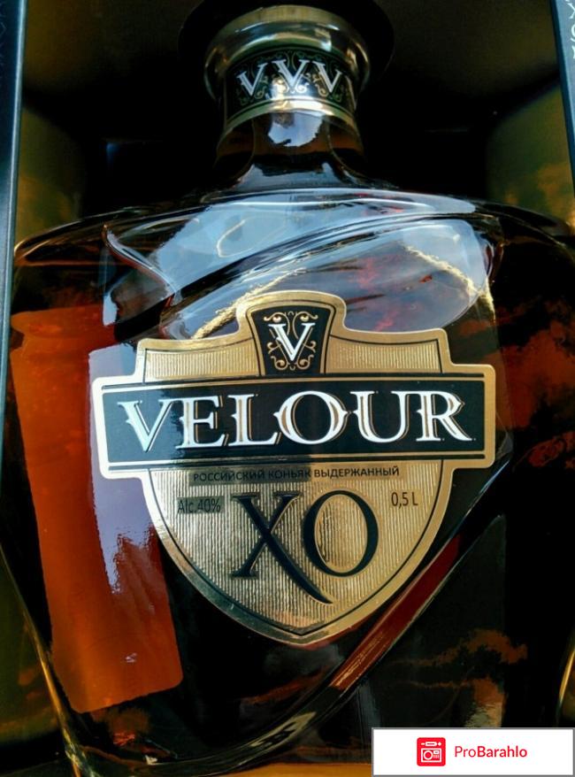 Коньяк velour xo отзывы