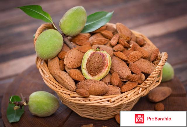 Миндаль: полезные свойства ореха, калорийность реальные отзывы