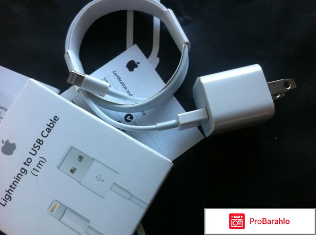 APPLE Lightning to USB Cable 