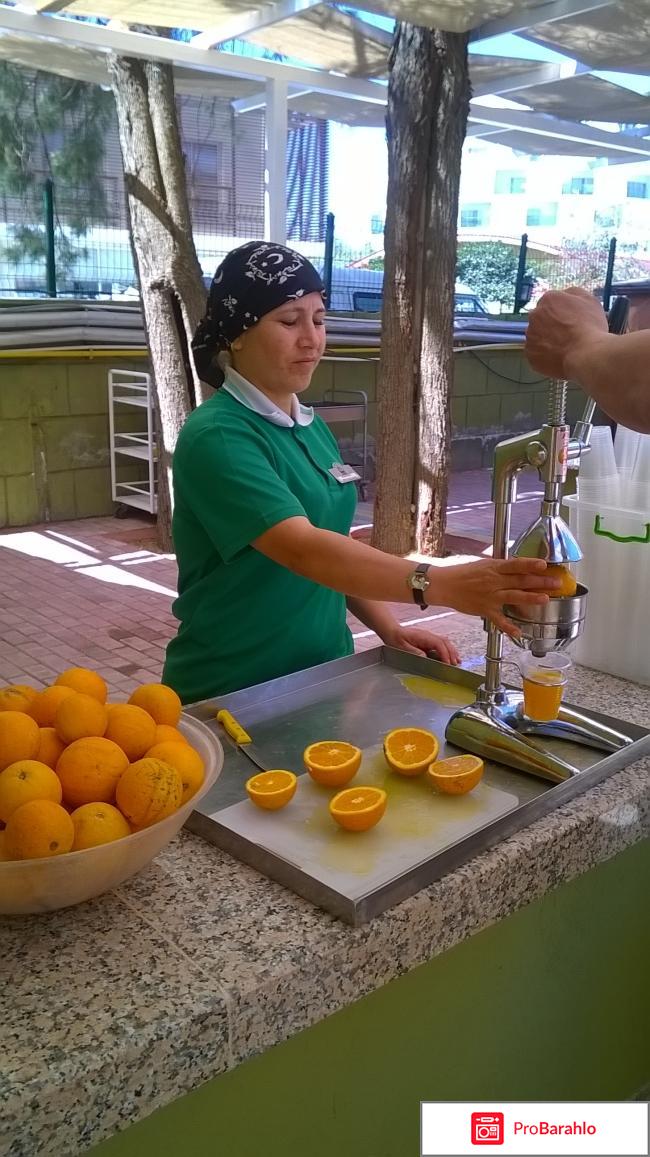 Lonicera World 4?, Турция, Аланья фото