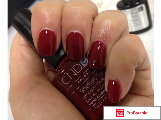 Какой шеллак лучше отзывы обман