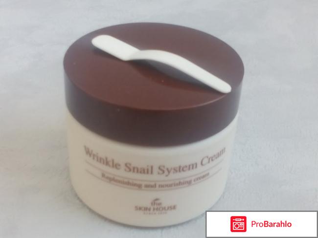 Крем для проблемной кожи THE SKIN HOUSE Wrinkle Snail System Cream отрицательные отзывы