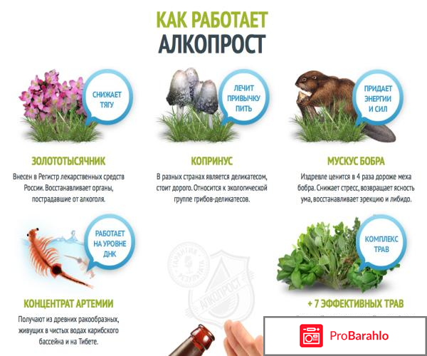 Алкопрост отзывы форум 