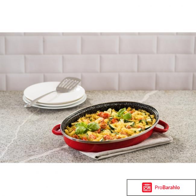 Гусятница Delimano «Сила камня» 2 в 1 фото