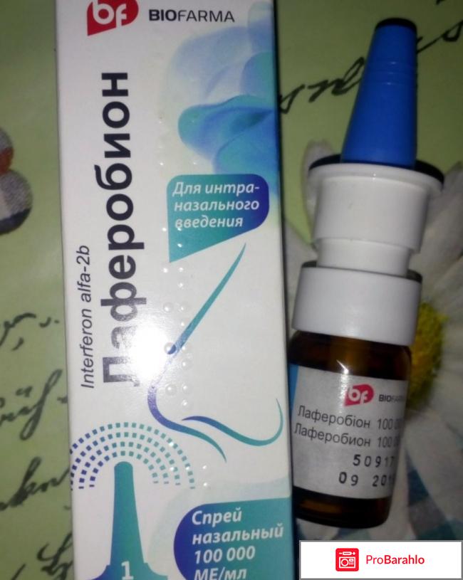 Лаферобион отзывы комаровский обман