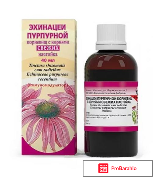 Настойка эхинацеи для иммунитета отзывы отрицательные отзывы
