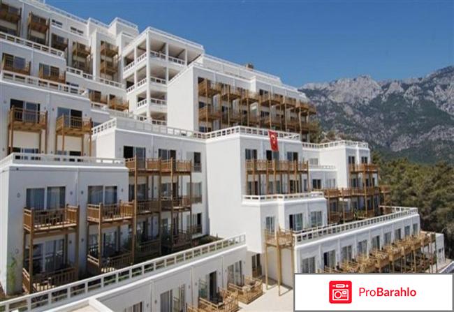 Фазелис клаб кемер обман