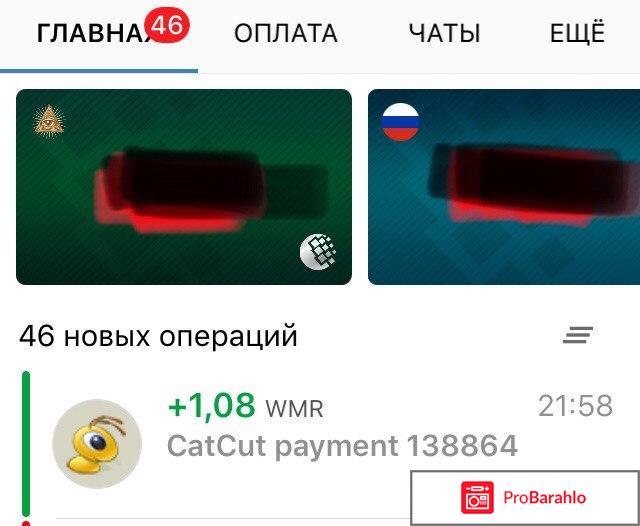 Catcut (кэткат - кэт кат) - заработок на ссылках скрины выплат внутри реальные отзывы