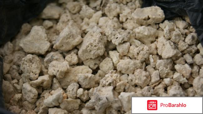 Каменное масло лечебные свойства и негативные отрицательные отзывы