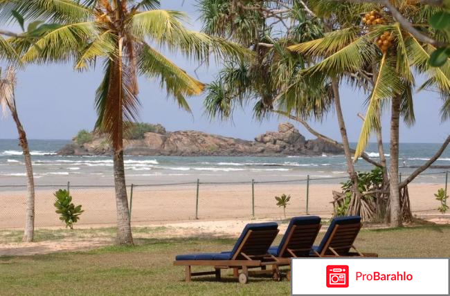 Берувела шри ланка отзывы туристов фото