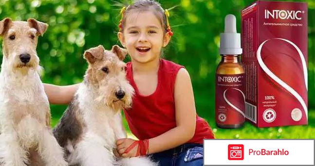 Интоксик средство от паразитов отзывы 