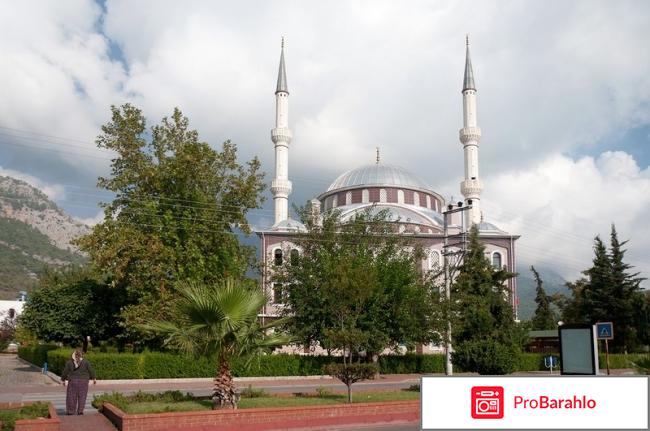 Лариса виста отрицательные отзывы